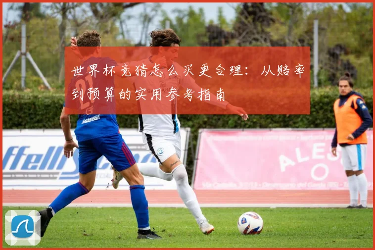 世界杯竞猜怎么买更合理：从赔率到预算的实用参考指南