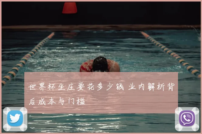 世界杯坐庄要花多少钱 业内解析背后成本与门槛